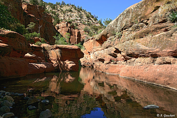 Swimming Hole